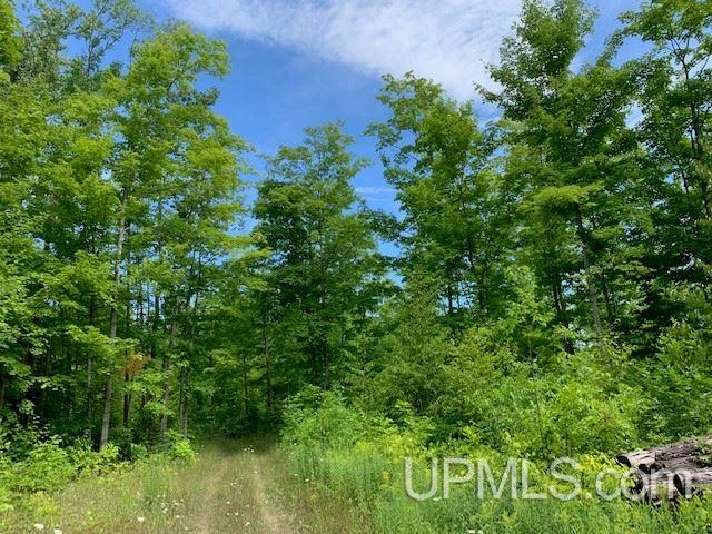 Tbd M69 Nadeau, MI 49863 - Photo 8 of 14