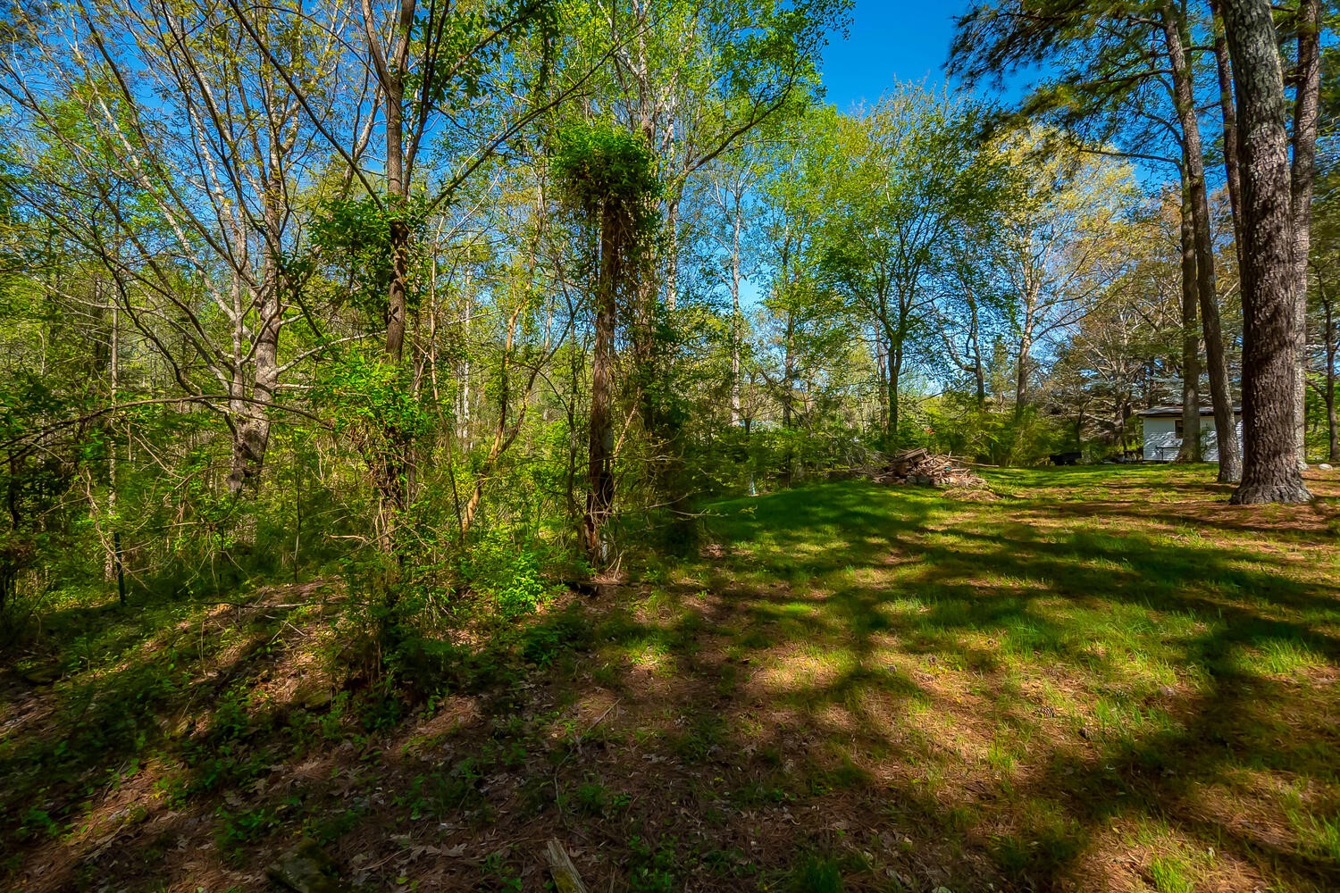 5715 Wilkins Branch Road Franklin, TN 37064 - Photo 19 of 29 Gallery Image 19