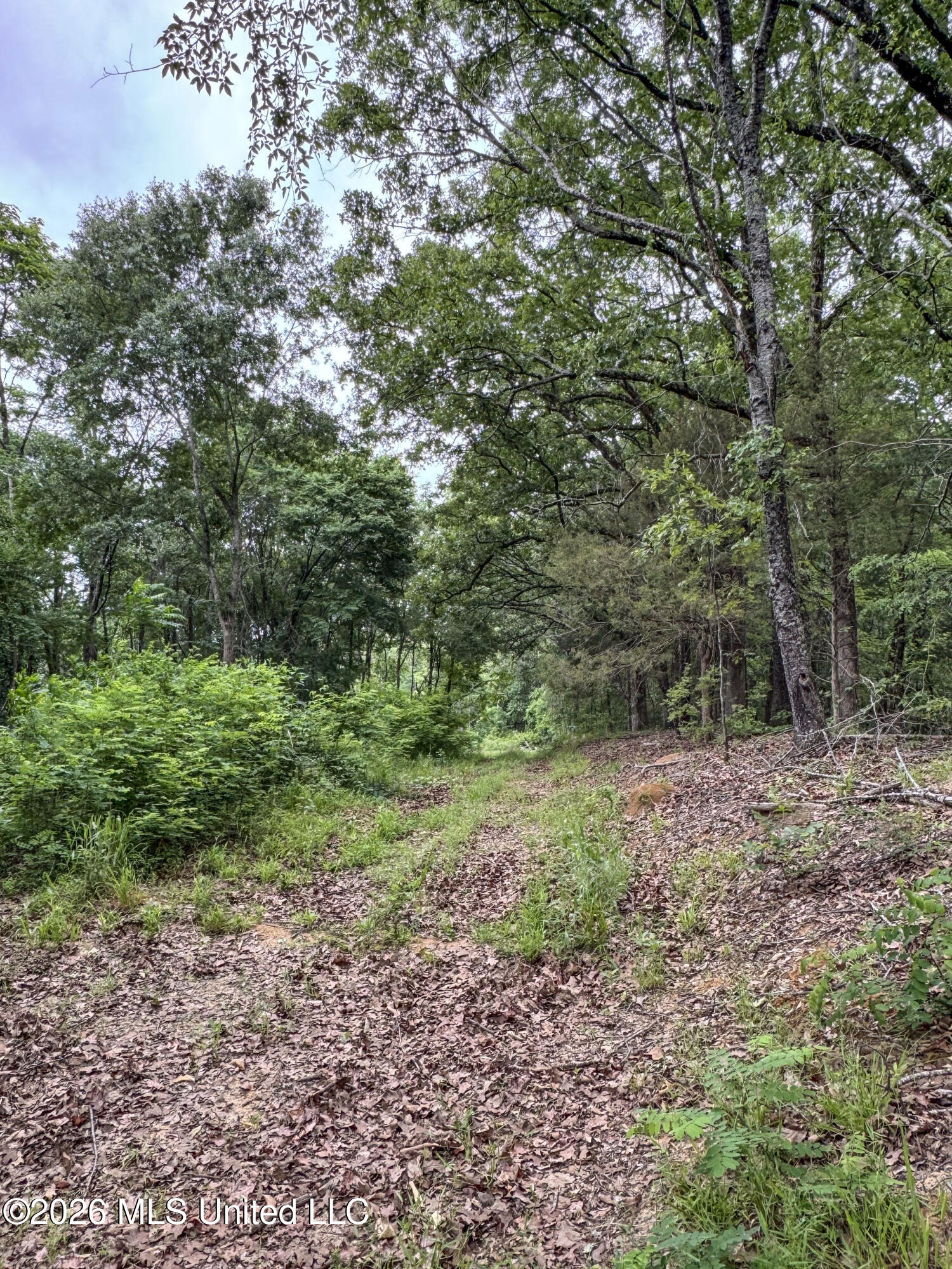 Wayne Massie Road Como, MS 38619 - Photo 170 of 184 5cdtbs119