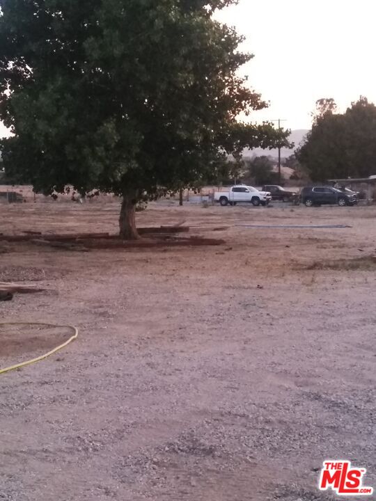 Fort Tejon Road Palmdale, CA 93552 - Photo 30 of 34 a view of dirt field with trees