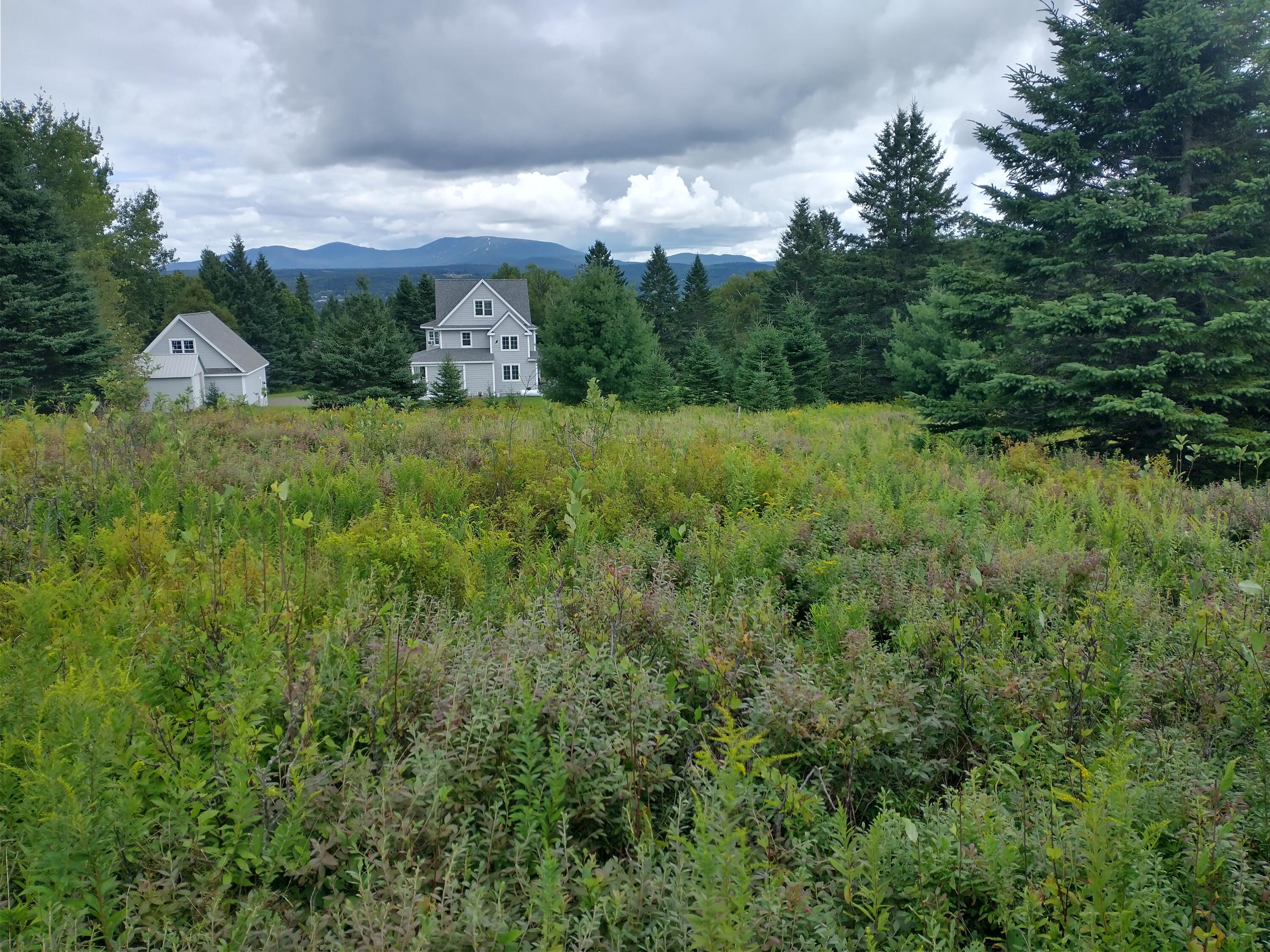 3 Country Club Road Rangeley, ME 04970 - Photo 8 of 15 IMG_20240812_123747783_HDR