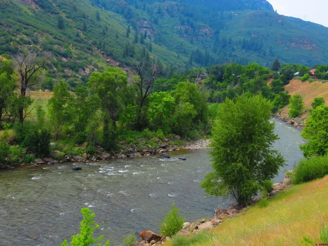 a view of a road with plants and a trees