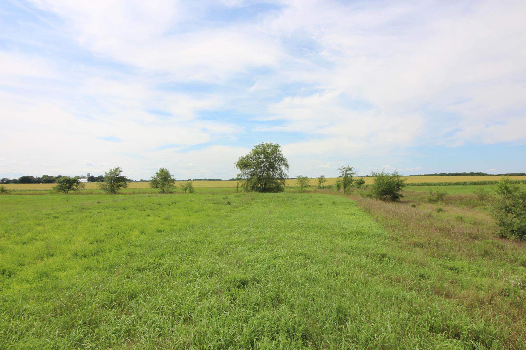 Tbd Tbd Ridgeview Street Kimball, MN 55353 - Photo 11 of 24