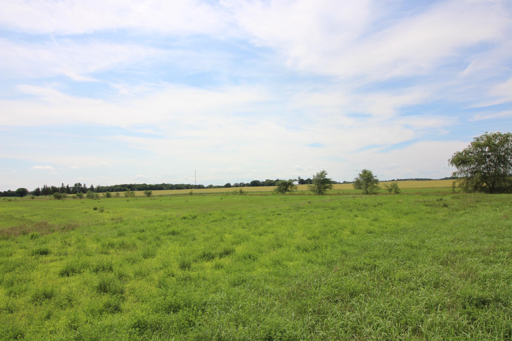 Tbd Tbd Ridgeview Street Kimball, MN 55353 - Photo 12 of 24