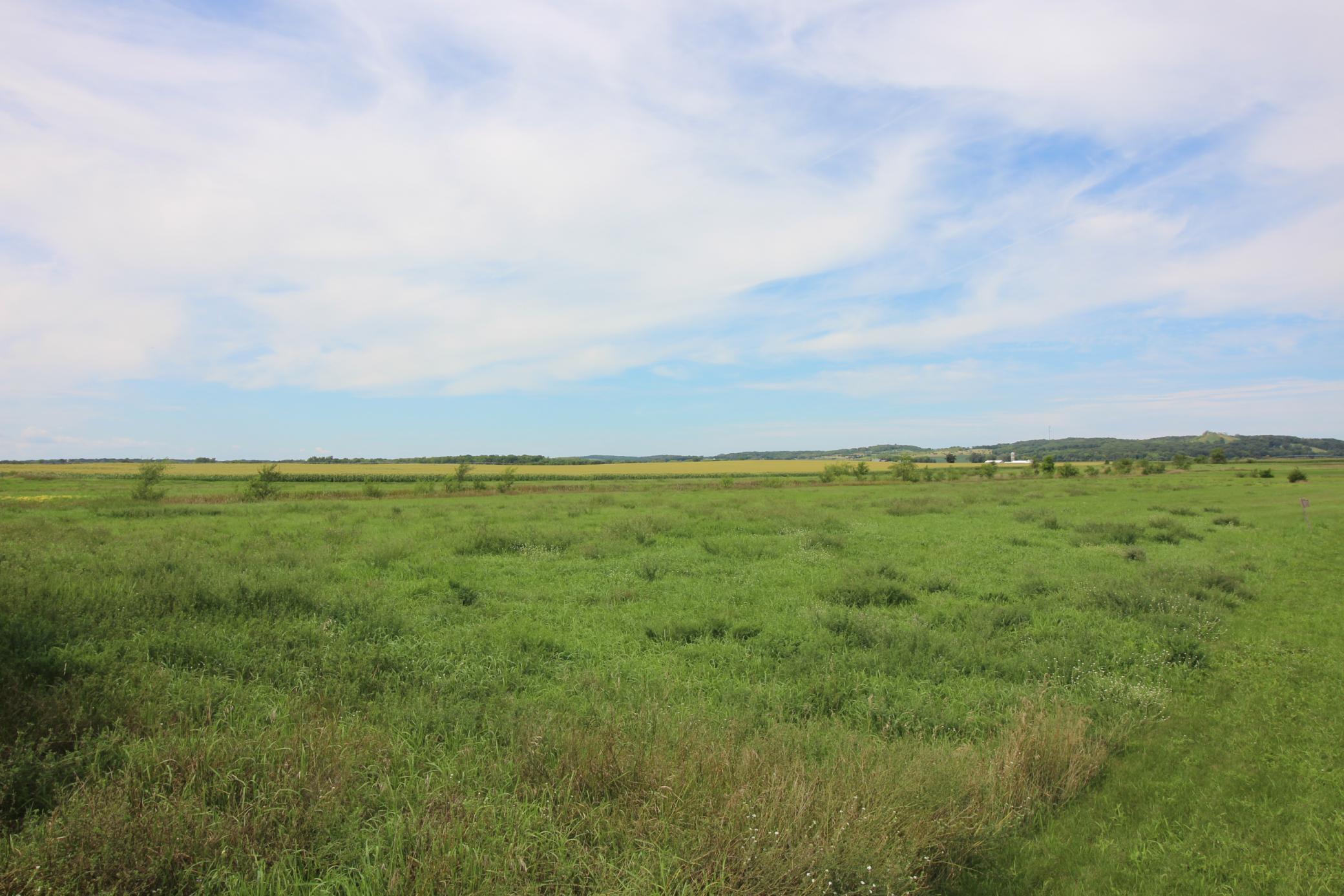 Tbd Tbd Ridgeview Street Kimball, MN 55353 - Photo 18 of 24