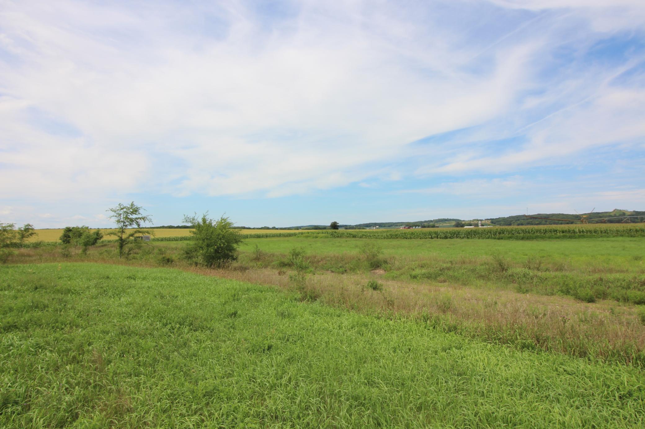 Tbd Tbd Ridgeview Street Kimball, MN 55353 - Photo 7 of 24