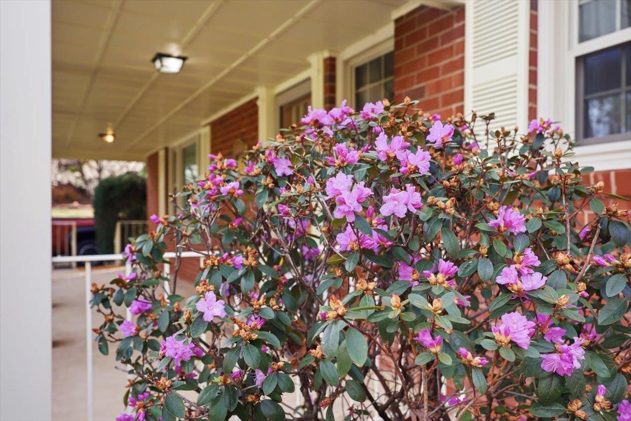 408 Robin Street Staunton, VA 24401 - Photo 42 of 52 a flower plants in front of a house