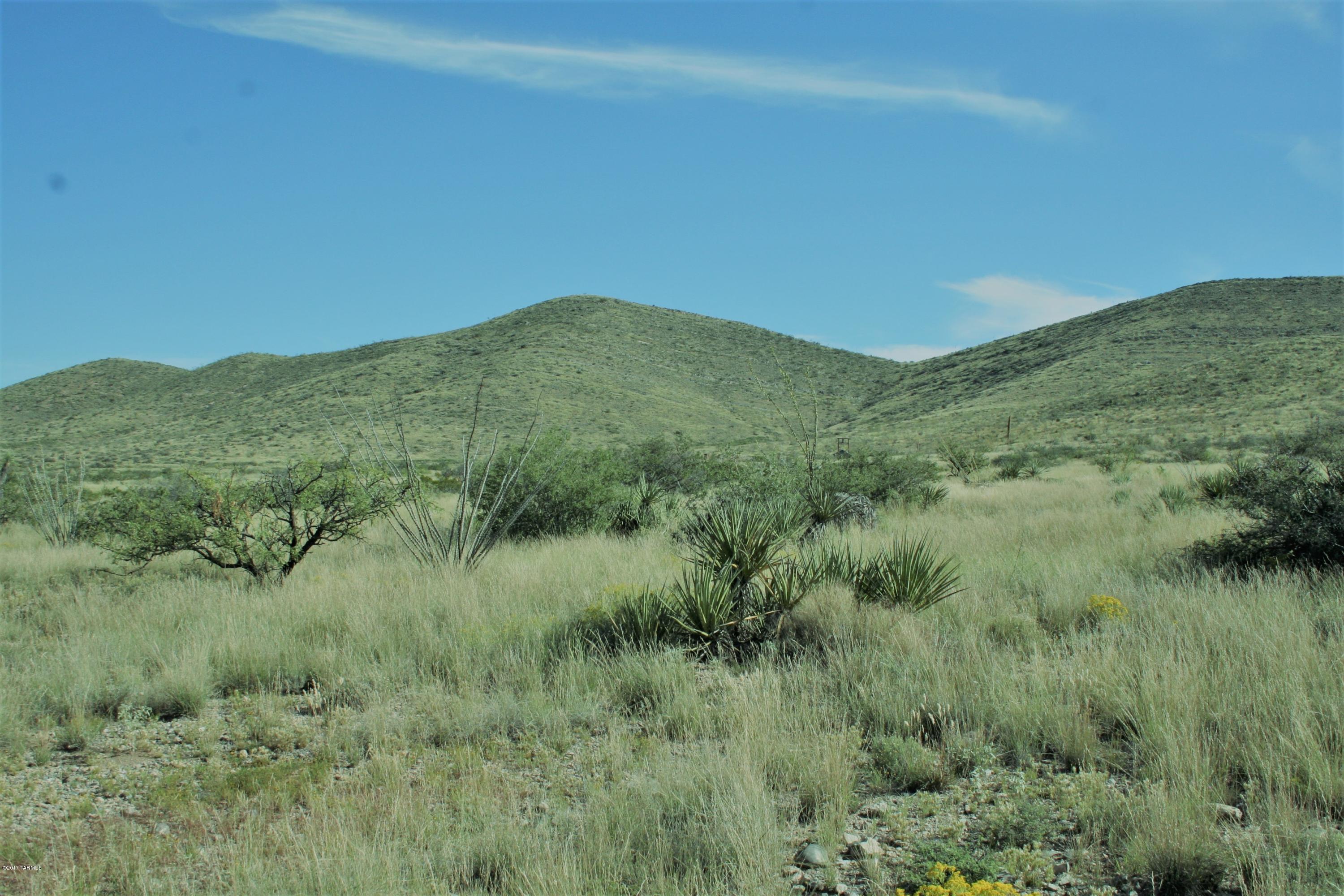 Tbd Victorio Road Dragoon, AZ 85609 - Photo 18 of 29