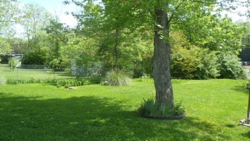 107 South Purdue Avenue Oak Ridge, TN 37830 - Photo 14 of 16 Additional Photo