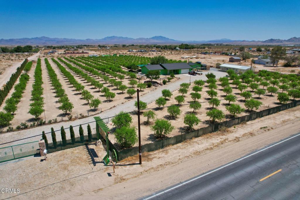 34738 Old Woman Springs Road Lucerne Valley, CA 92356 - Photo 13 of 14 DJI_0555