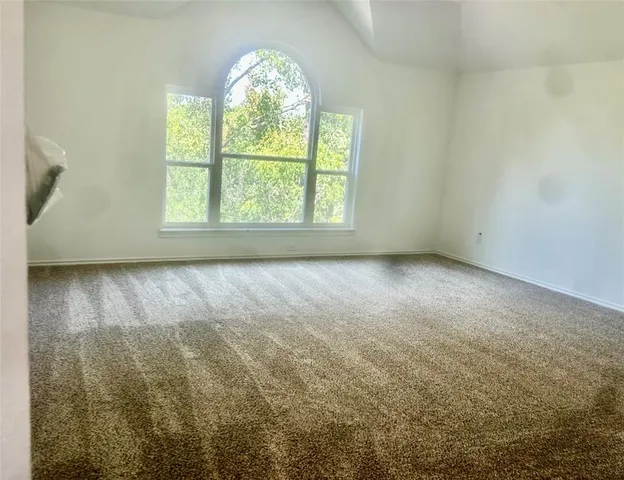 a view of a garden from a window