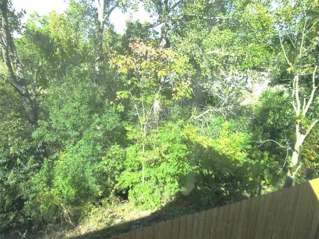a view of backyard with tree