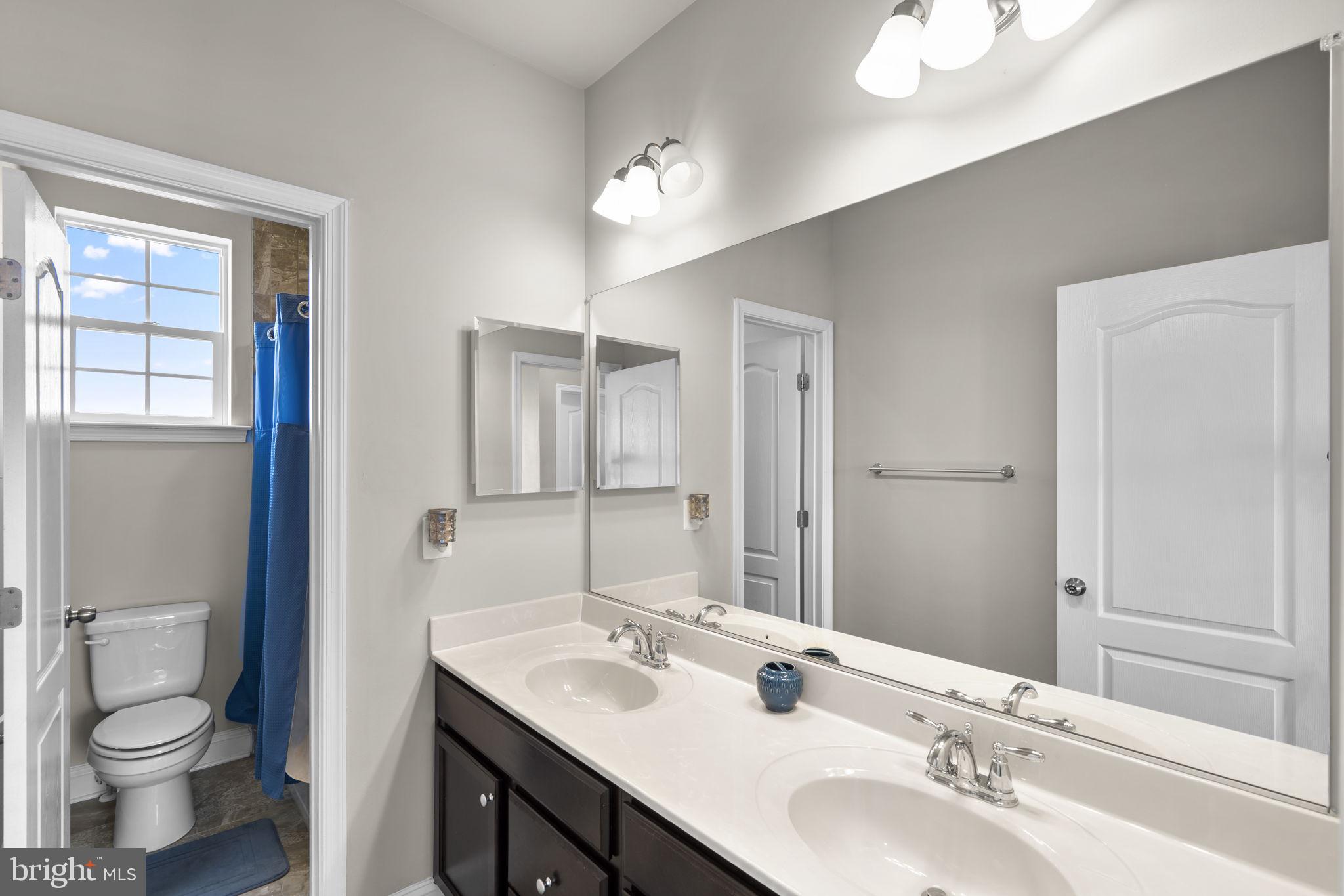 19723 Zion Road Brookeville, MD 20833 - Photo 48 of 67 a bathroom with a double vanity sink toilet and a mirror