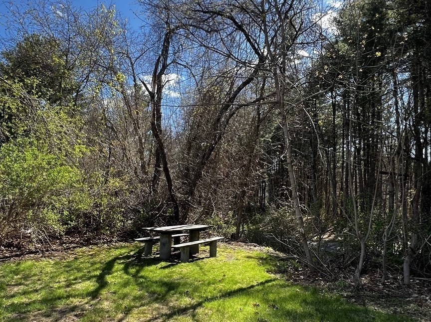 292 Great Road, Unit 1 Acton, MA 01720 - Photo 28 of 30