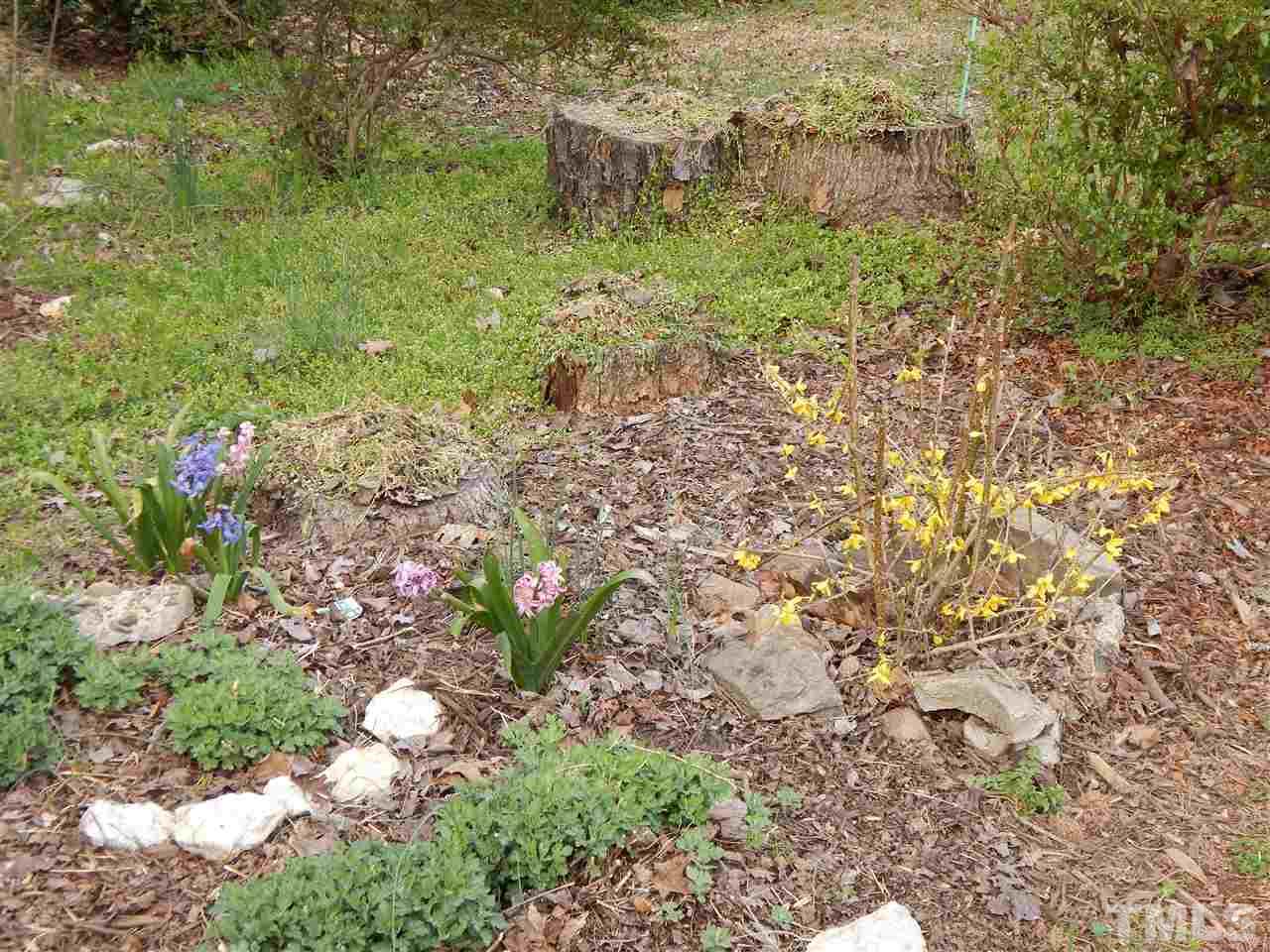 211 Shambley Road Mebane, NC 27302 - Photo 22 of 28 Gallery Image 22