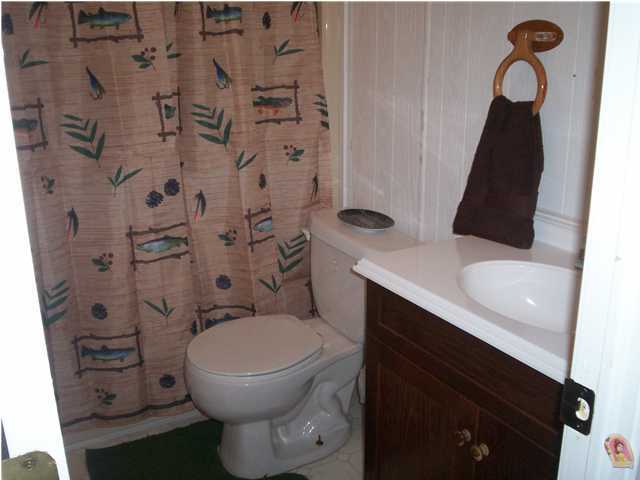 17719 North No Pone Valley Road Decatur, TN 37322 - Photo 8 of 9 Additional Photo
