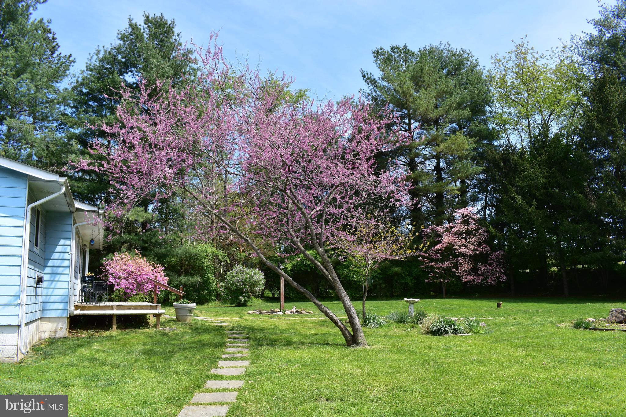 6024 Turner Road Broad Run, VA 20137 - Photo 3 of 48 Gallery Image 3
