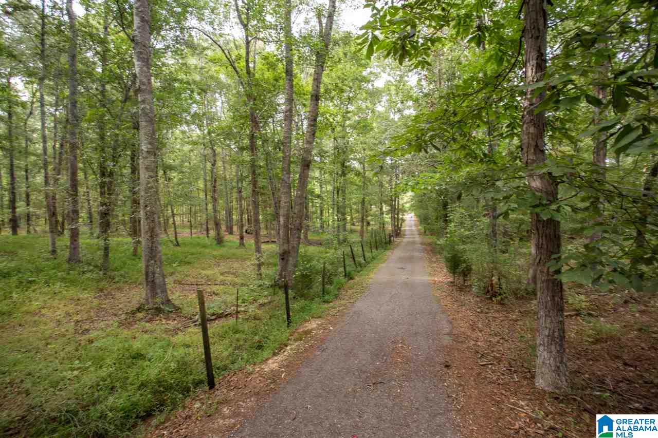 975 Refuge Road Ragland, AL 35131 - Photo 1 of 42