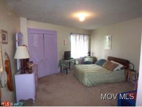 344 Ivy Road Davisville, WV 26142 - Photo 16 of 19 Gallery Image 16