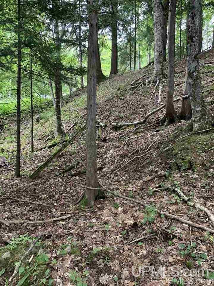 Lot 1 Bayview Road Lanse, MI 49946 - Photo 23 of 27