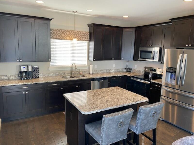 1318 Spring Lilly Drive High Ridge, MO 63049 - Photo 11 of 61