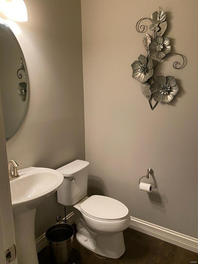 1318 Spring Lilly Drive High Ridge, MO 63049 - Photo 16 of 61