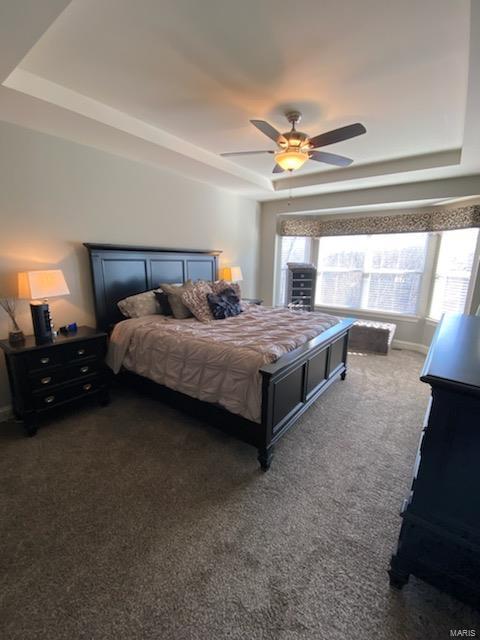1318 Spring Lilly Drive High Ridge, MO 63049 - Photo 17 of 61