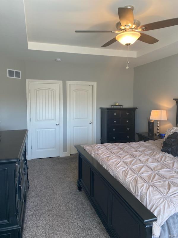 1318 Spring Lilly Drive High Ridge, MO 63049 - Photo 18 of 61