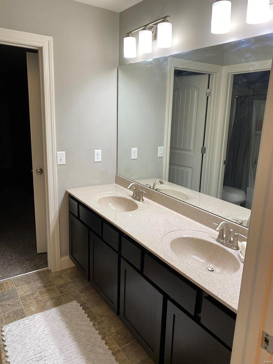 1318 Spring Lilly Drive High Ridge, MO 63049 - Photo 19 of 61