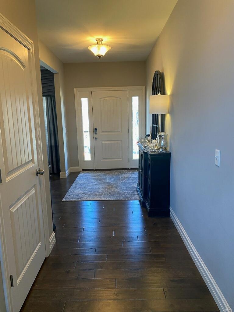 1318 Spring Lilly Drive High Ridge, MO 63049 - Photo 2 of 61