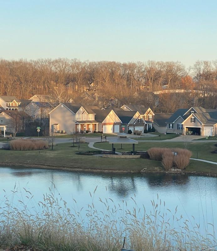 1318 Spring Lilly Drive High Ridge, MO 63049 - Photo 37 of 61