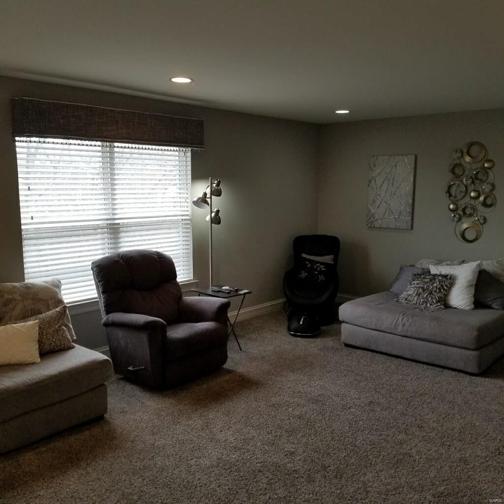 1318 Spring Lilly Drive High Ridge, MO 63049 - Photo 44 of 61