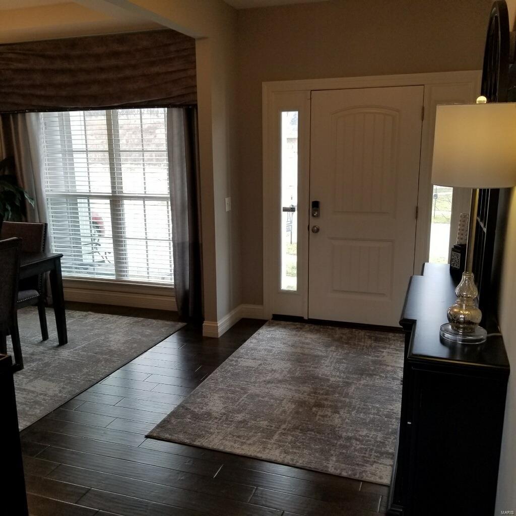 1318 Spring Lilly Drive High Ridge, MO 63049 - Photo 50 of 61