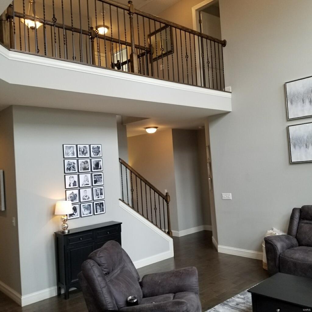 1318 Spring Lilly Drive High Ridge, MO 63049 - Photo 61 of 61