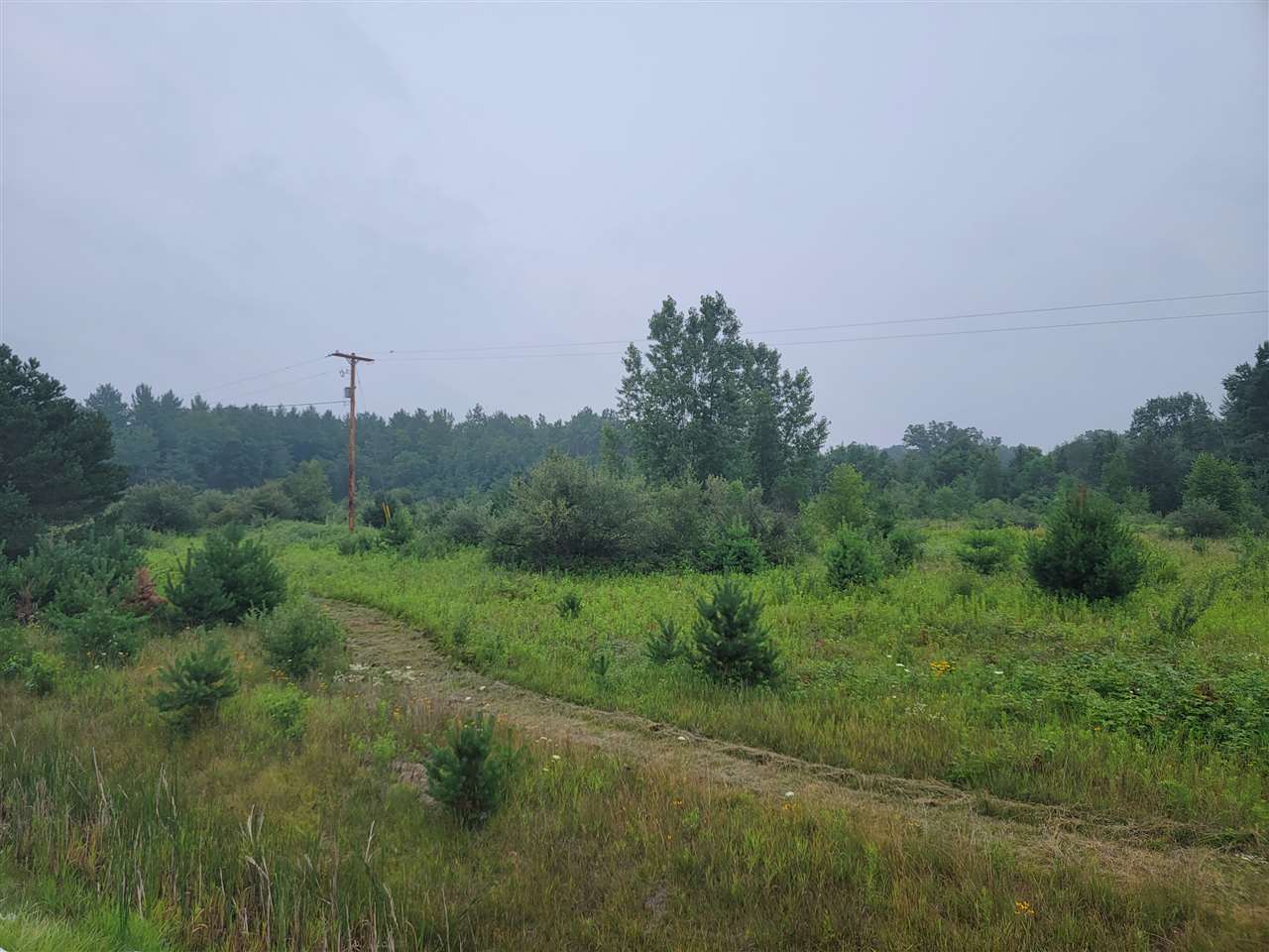 West Calhoun Road Beaverton, MI 48612 - Photo 2 of 5
