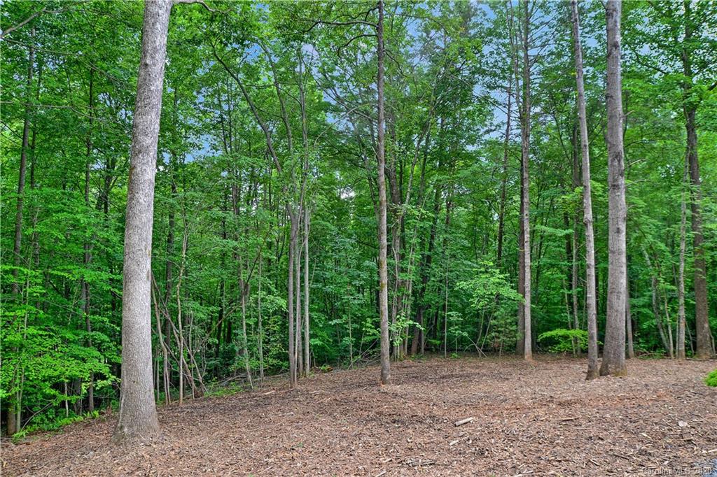 317 Haven Ridge Lane Marion, NC 28752 - Photo 4 of 30 Gallery Image 4