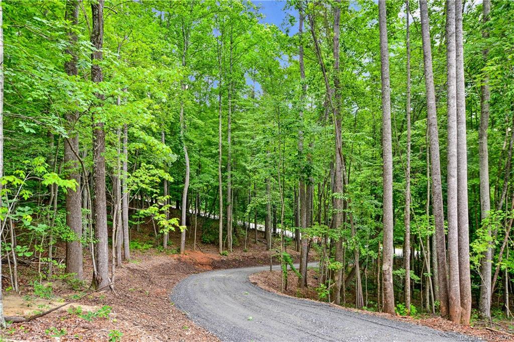317 Haven Ridge Lane Marion, NC 28752 - Photo 5 of 30 Gallery Image 5