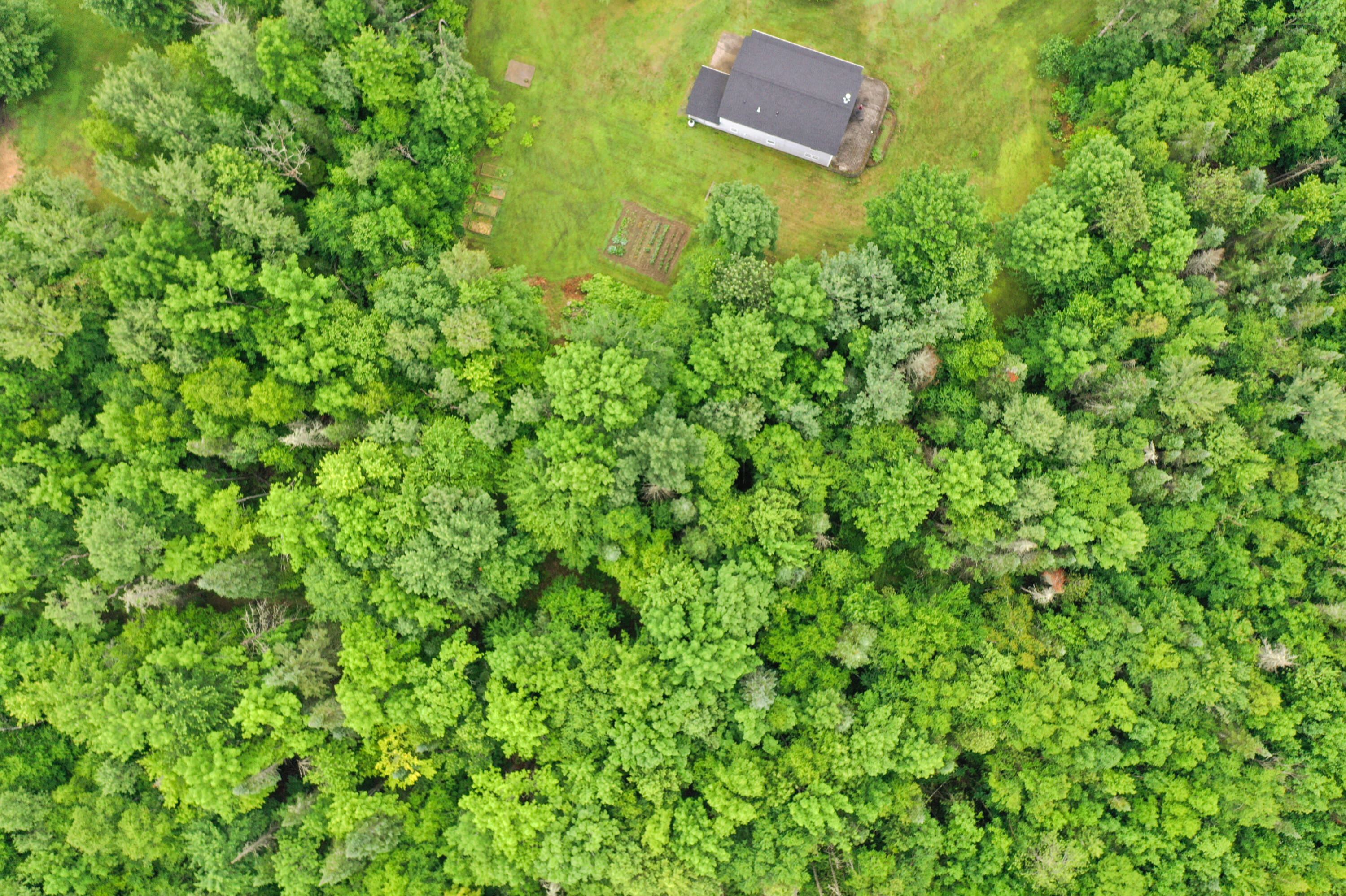 100 Dill Road Levant, ME 04456 - Photo 60 of 64 6893