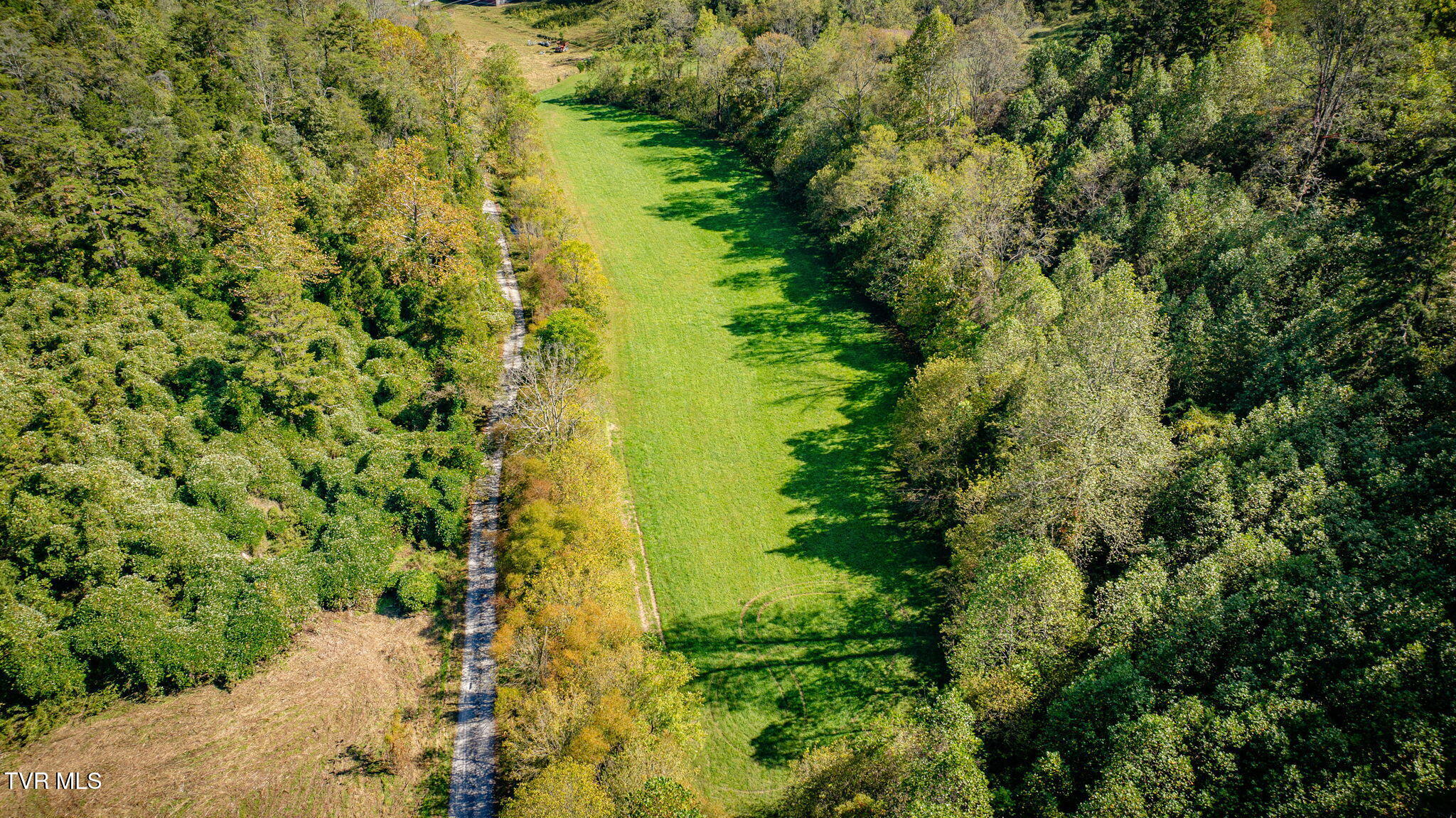 413 Willow Branch Road Bristol, VA 24202 - Photo 6 of 21 116