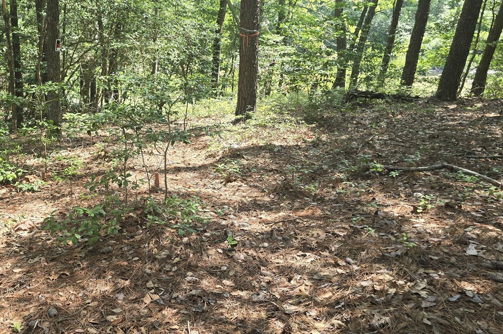 Lot B4 Saltworks Road, Unit B Exmore, VA 23350 - Photo 8 of 11