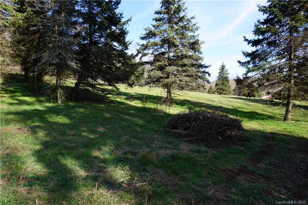 0 County Road Waynesville, NC 28785 - Photo 12 of 13 a view of a field of grass and trees