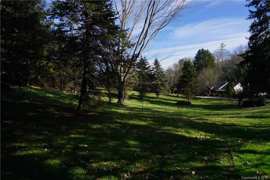 0 County Road Waynesville, NC 28785 - Photo 13 of 13 a view of a park