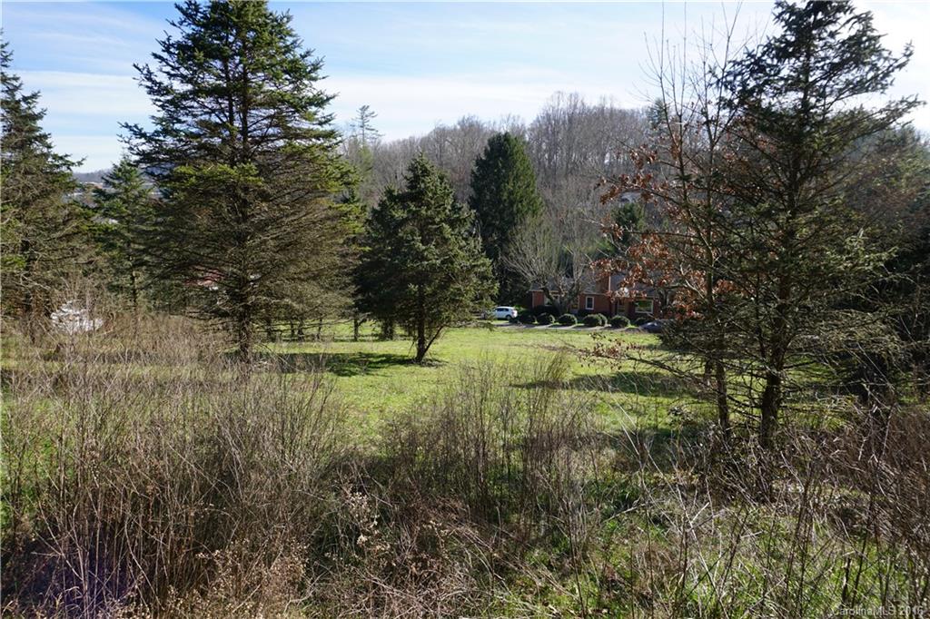 0 County Road Waynesville, NC 28785 - Photo 3 of 13 a view of a green field