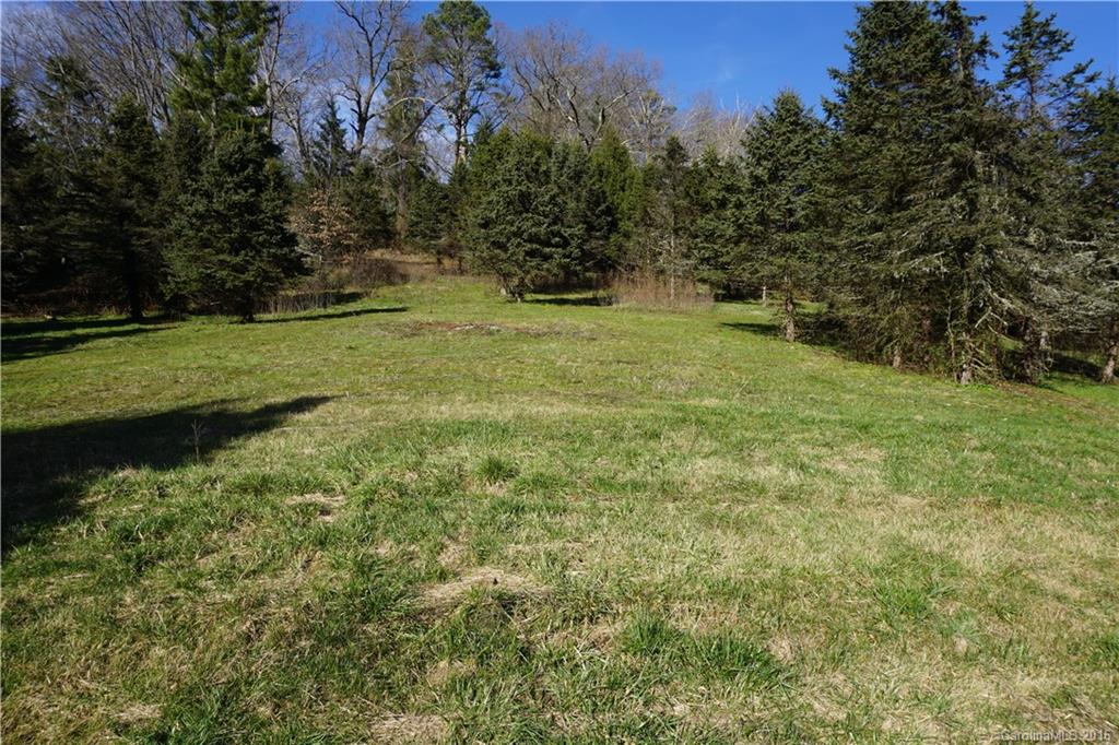 0 County Road Waynesville, NC 28785 - Photo 8 of 13 a view of a garden