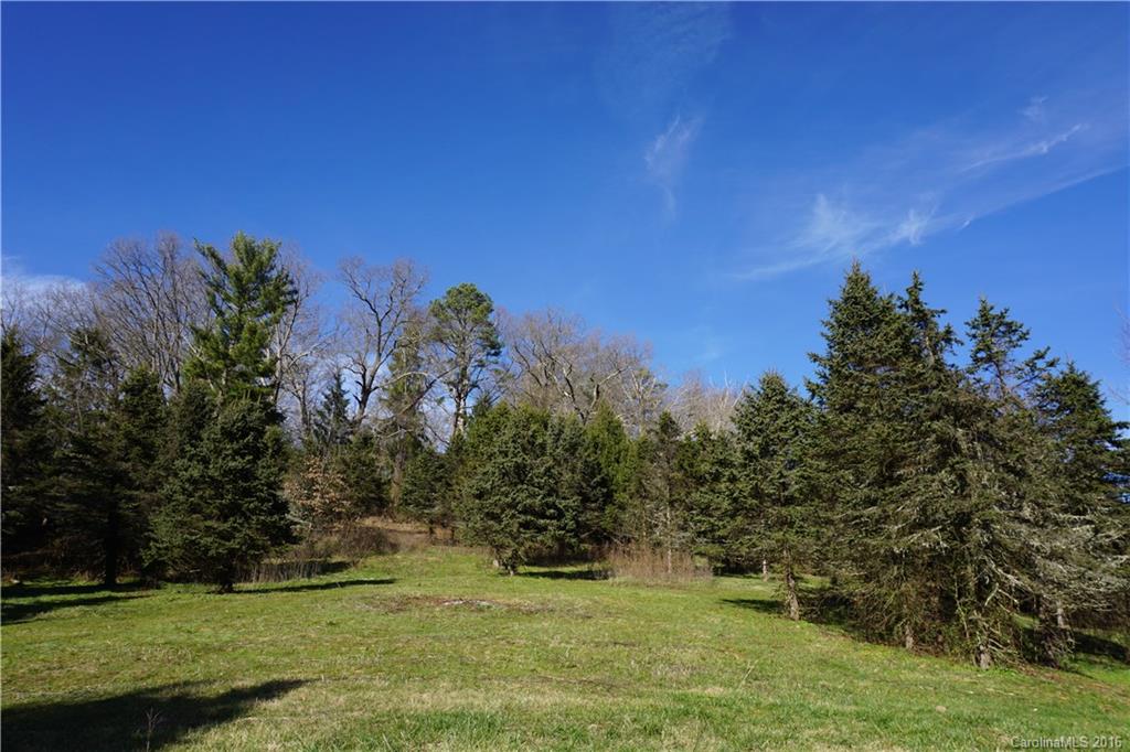 0 County Road Waynesville, NC 28785 - Photo 10 of 13
