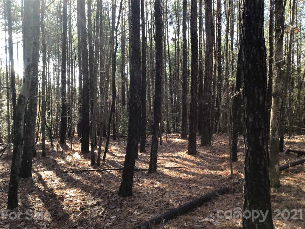 Lot 8 Stewart Rock Road, Unit 8 Stony Point, NC 28678 - Photo 3 of 11 Gallery Image 3