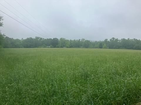 0 Jones Creek Road Dickson, TN 37055 - Photo 4 of 4 Gallery Image 4