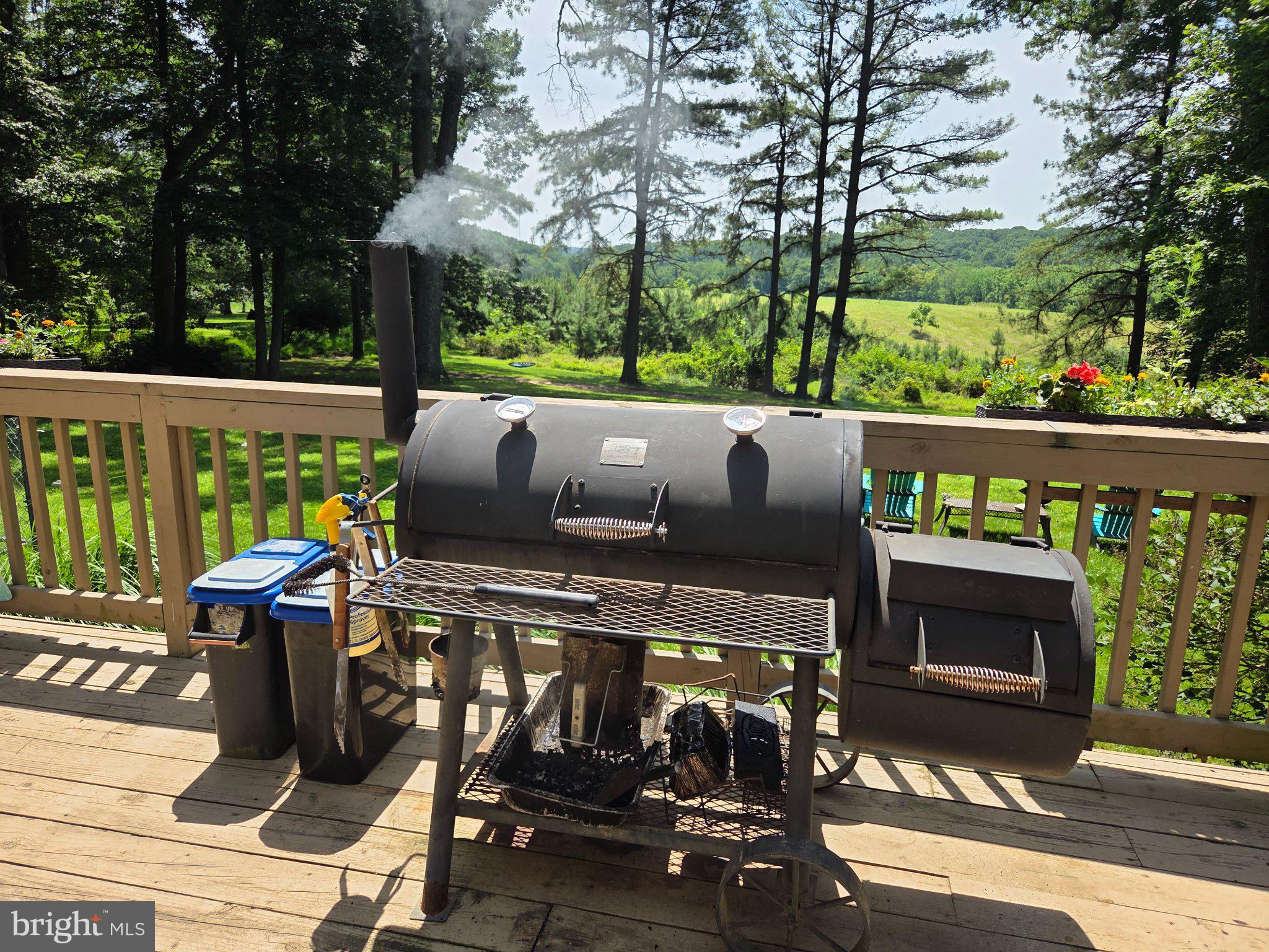 151 Martz Road Sykesville, MD 21784 - Photo 66 of 74 Grilling with a scenic view.