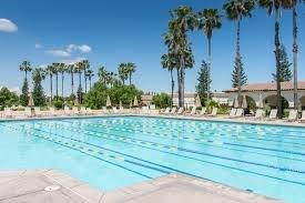 46 Bascom Court Sacramento, CA 95835 - Photo 29 of 34 a view of a yard