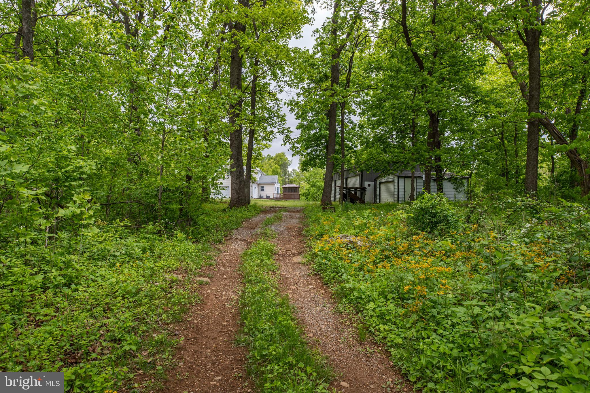 20711 Blue Ridge Mountain Road Paris, VA 20130 - Photo 70 of 82